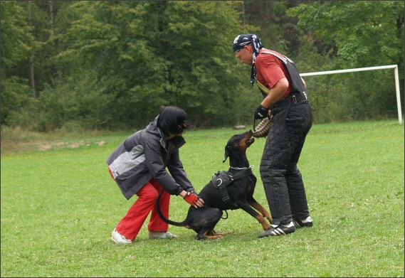 Summer training camp - Jelenec - 2007